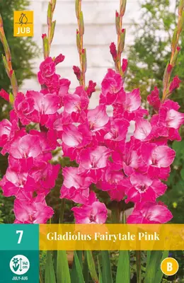 Gladiolus fairytale pink 7 stuks - afbeelding 1