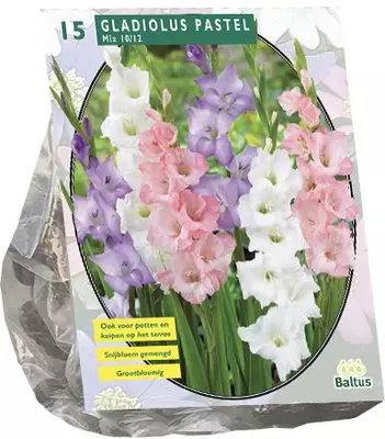 Gladiolus pastel mix 15 stuks - afbeelding 1
