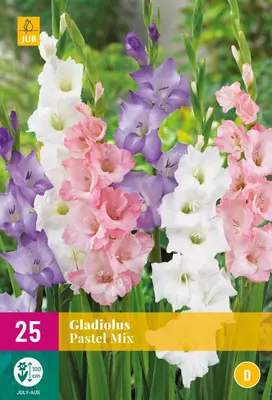 Gladiolus pastel mix 25 stuks - afbeelding 1