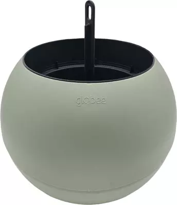 Globee in doos olijf - afbeelding 1