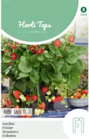 Horti tops zaden Aardbeien Ruby Ann F1 (hangaardbei)