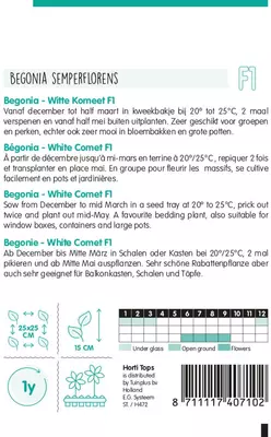 Horti tops zaden Begonia F1 Witte Komeet - afbeelding 2