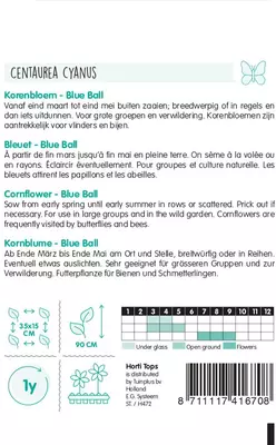 Horti tops zaden centaurea, korenbloem blue ball - afbeelding 2