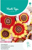 Horti tops zaden chrysanthemum, ganzebloem gemengd kopen?