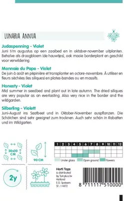 Horti tops zaden lunaria, judaspenning violet - afbeelding 2