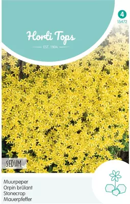 Horti tops zaden sedum, muurpeper geel - afbeelding 1