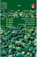 Horti tops zaden spinazie breedblad scherpzaad zomer 100 gram - afbeelding 1