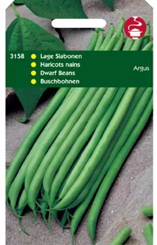 Horti tops zaden Stamslabonen Haricot Vert Argus 50 gram - afbeelding 1