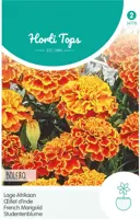 Horti tops zaden tagetes, lage afrikaan bolero kopen?