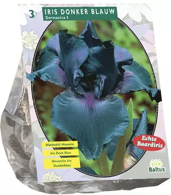 Iris germanica donkerblauw 3 stuks - afbeelding 1