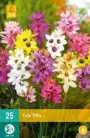 Ixia mix 25 stuks - afbeelding 1