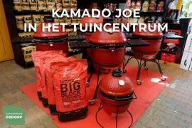 Kamado Joe barbecuehoes Grill cover - Big Joe - afbeelding 2