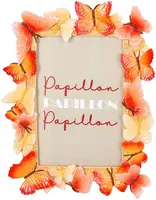 Kersten fotolijst polystone vlinders 10x15x2cm multi kopen?