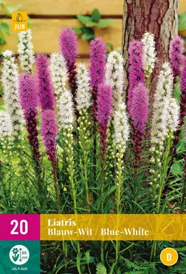 Liatris blauw/wit 20 stuks - afbeelding 1