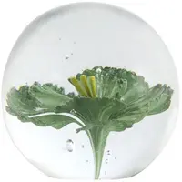 Light & Living ornament glas flower 8x8cm groen kopen?