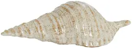 Light & Living ornament keramiek schelp 23x9.5x23cm zand kopen?