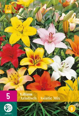 Lilium aziatisch mix 5 stuks - afbeelding 1