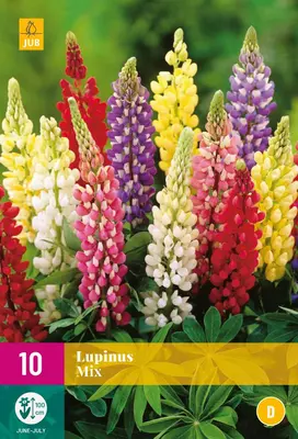 Lupinus mix 10 stuks - afbeelding 1