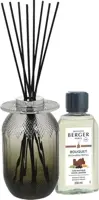 Maison Berger Paris parfumverspreider evanescence gris mystic leather 200 ml kopen?