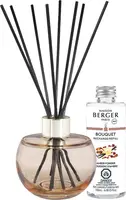 Maison Berger Paris parfumverspreider holly nude amber powder 180 ml kopen?