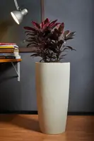 Musa matte vaas 35x90cm met binnenpot amandel - afbeelding 2