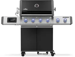 Napoleon Prestige pro 500 connected zwart kopen?