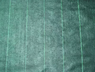 Nature Gronddoek 1x10 meter 100g/m zwart - afbeelding 5