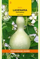 Oranjeband zaden Lagenaria, Sierkalebas Giant Bottle kopen?