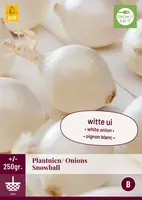 Plantuien snowball 250 gram - afbeelding 1