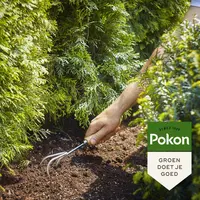 Pokon Conifeer & Taxus Mest 2,5kg - afbeelding 4