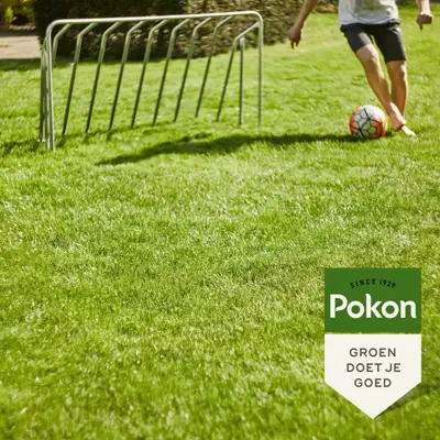 Pokon Graszaad Inzaai 2kg - afbeelding 4