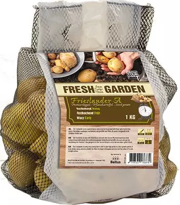 Pootaardappel frieslander 1 kg - afbeelding 2