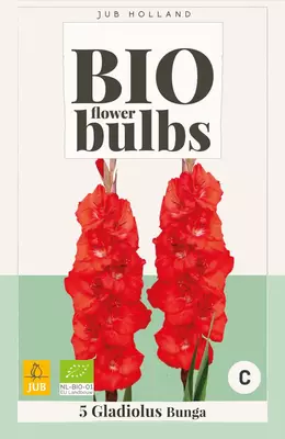 Bio gladiolus bunga 5st - afbeelding 1