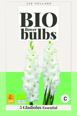 Bio gladiolus essential 5st - afbeelding 1