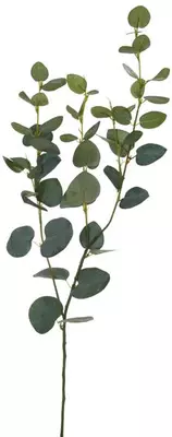 Pure Royal kunsttak eucalyptus 75cm groen - afbeelding 1