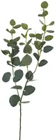 Pure Royal kunsttak eucalyptus 75cm groen - afbeelding 2