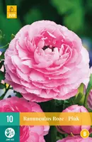 Ranunculus roze/pink 10 stuks - afbeelding 1