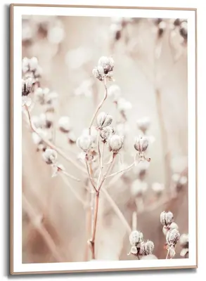 Reinders schilderij hout dried whites 50x70cm botanic - afbeelding 1