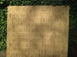 Rietplaat nagy 200x200 cm kopen?