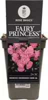 Rosa 'Fairy Princess' 35cm - afbeelding 1