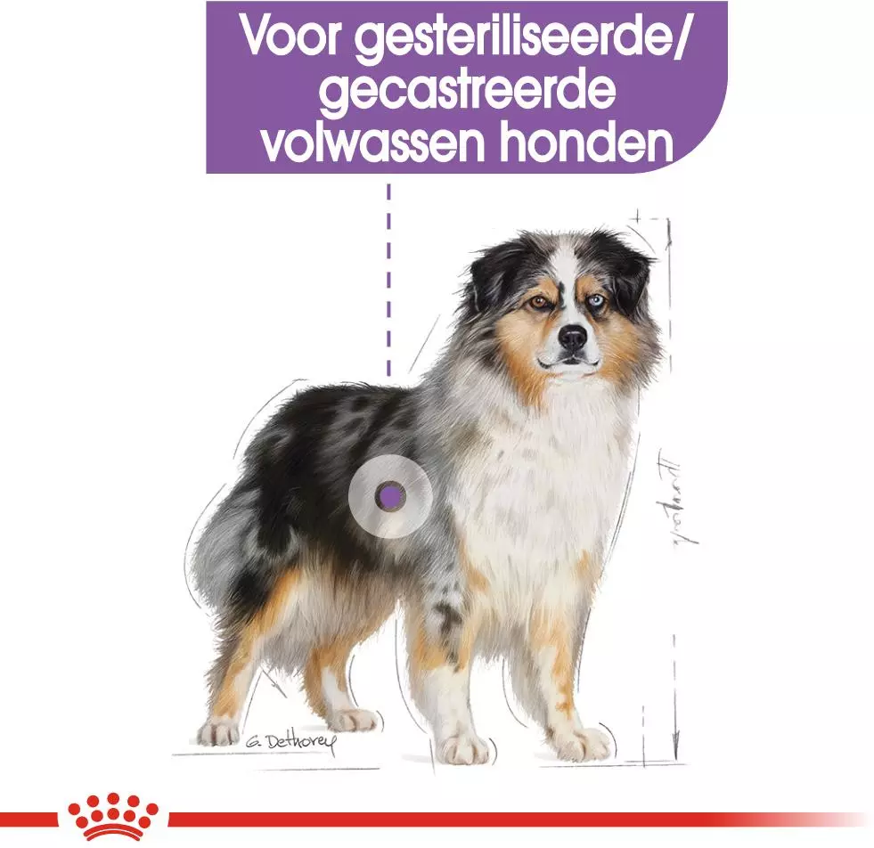 Mangel Diakritisch Detecteerbaar Royal Canin Sterilised Medium 3kg kopen? - tuincentrum Osdorp :)