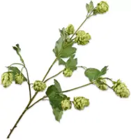 Silk-ka kunsttak hop 77cm groen