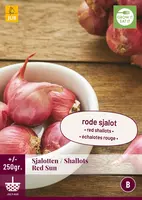 Sjalotten red sun 250g - afbeelding 1