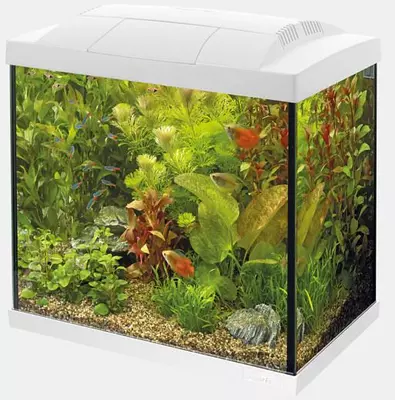 Superfish aquarium Start 50 tropical kit wit - afbeelding 1