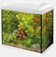 Superfish aquarium Start 50 tropical kit wit kopen?