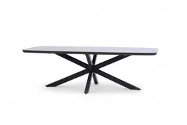 Trestino dining tuintafel valence 240x110x74cm antraciet kopen?
