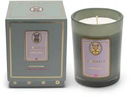 Vondels geurkaars winter spice cinnamon & lemon kopen?