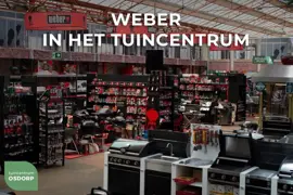 Weber bbq rooster voor 37 cm - afbeelding 2