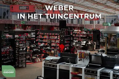 Weber gourmet bbq system barbecue rooster - afbeelding 4