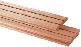 Woodvision Douglas Geschaafd Triple Profiel – 2,2 x 14 x 300 cm – Onbehandeld kopen?